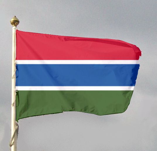 Flaga państwa Gambia
