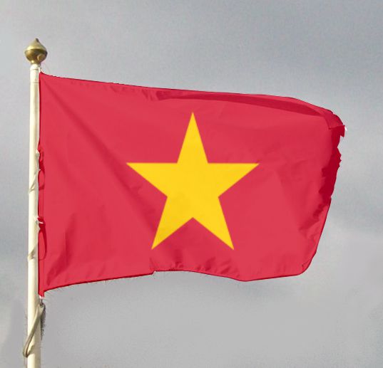 Flaga państwowa Wietnamu