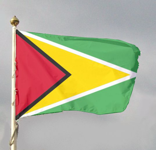 Flaga narodowa Gujany