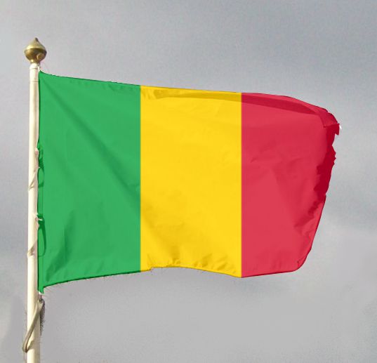 Flaga pozioma z karabińczykami - Mali