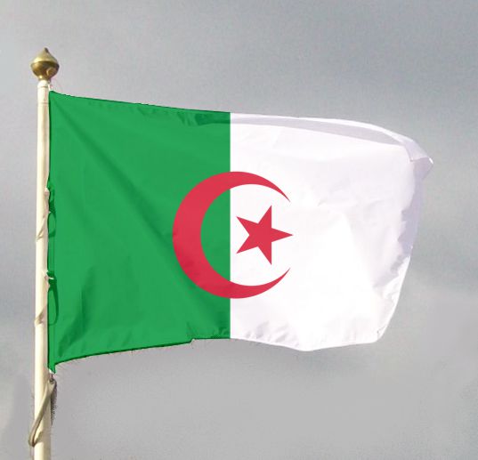 Flaga narodowa Algierii