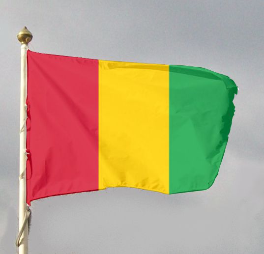 Flaga państwowa Gwinei