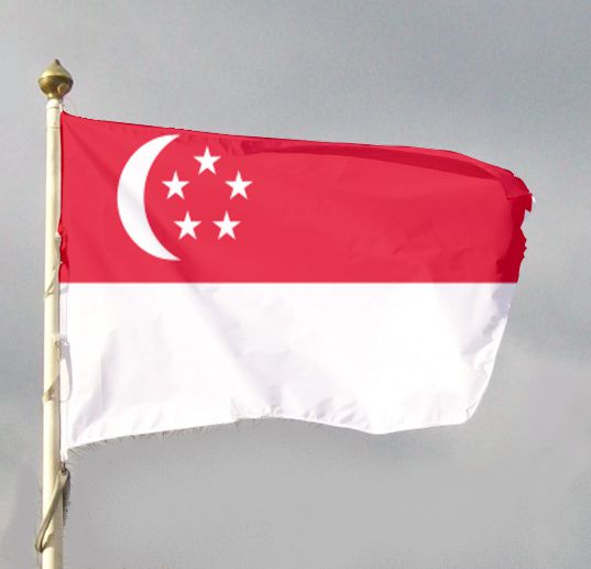 Flagi narodowe - Singapur